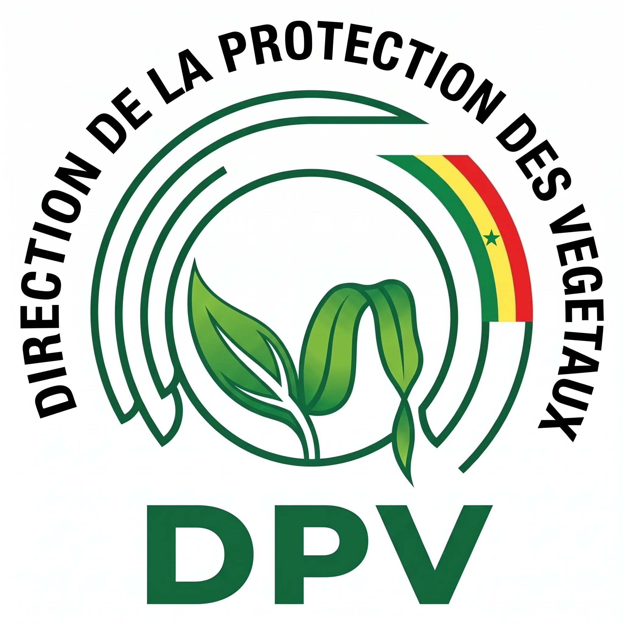 Logo DPV Sénégal